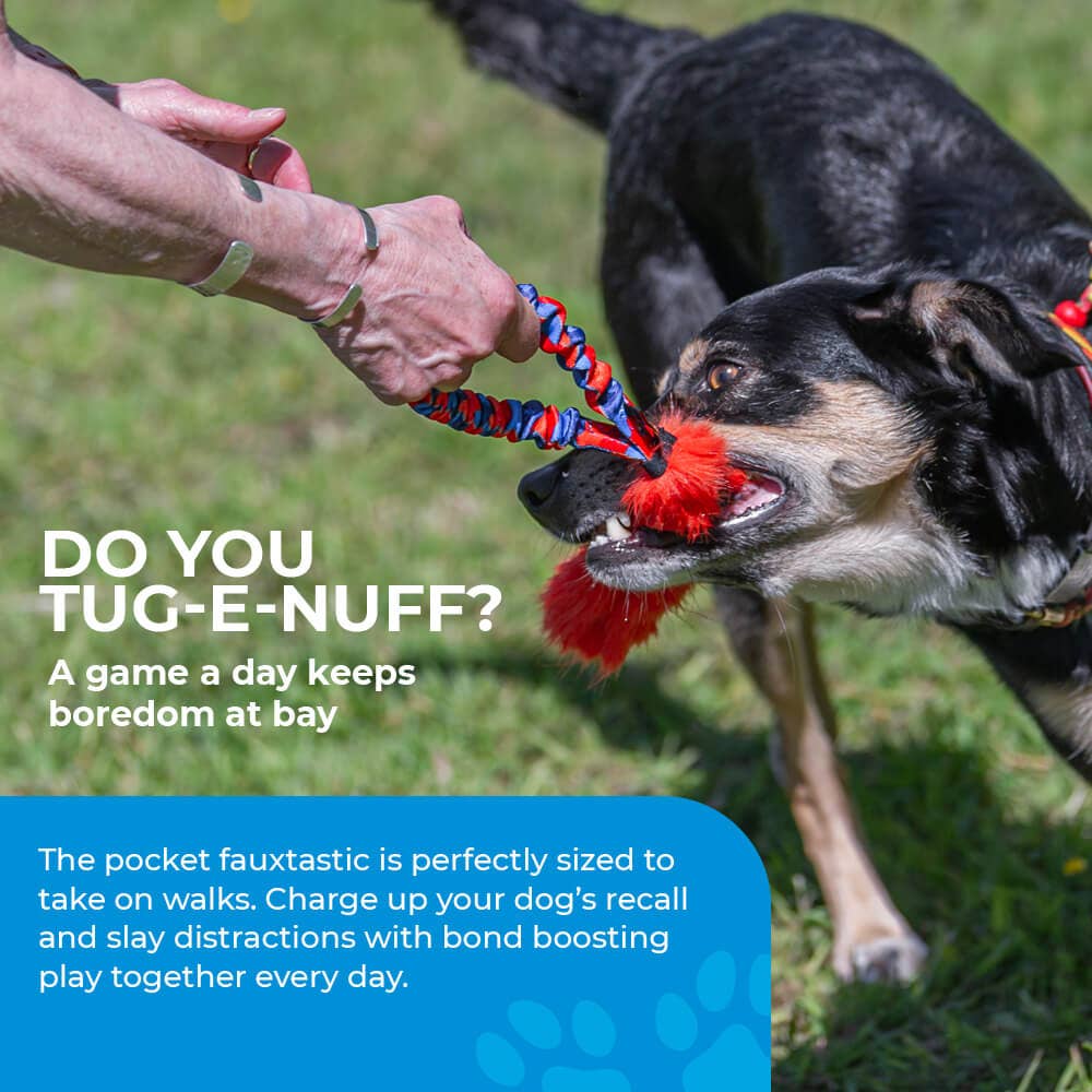 Pocket Fauxtastic | Faux Fur Pocket Tug | Tug-E-Nuff: Pink Pattern