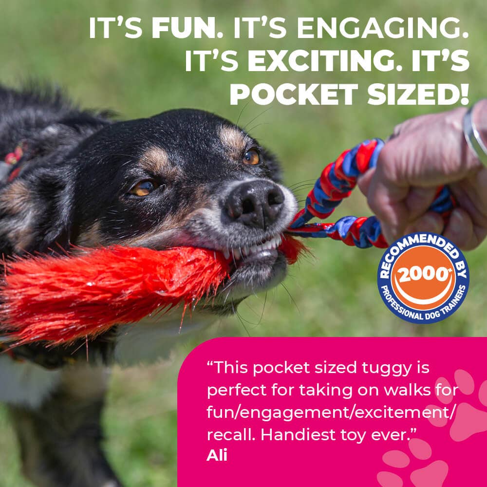 Pocket Fauxtastic | Faux Fur Pocket Tug | Tug-E-Nuff: Pink Pattern