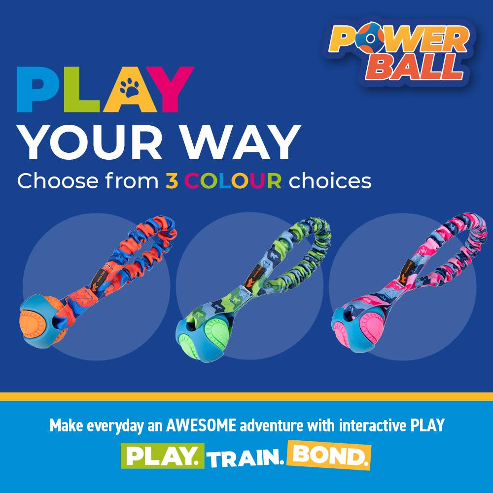 Pocket PowerBall Bungee Tug | Fetch Dog Toys | Tug-E-Nuff: Green Pattern